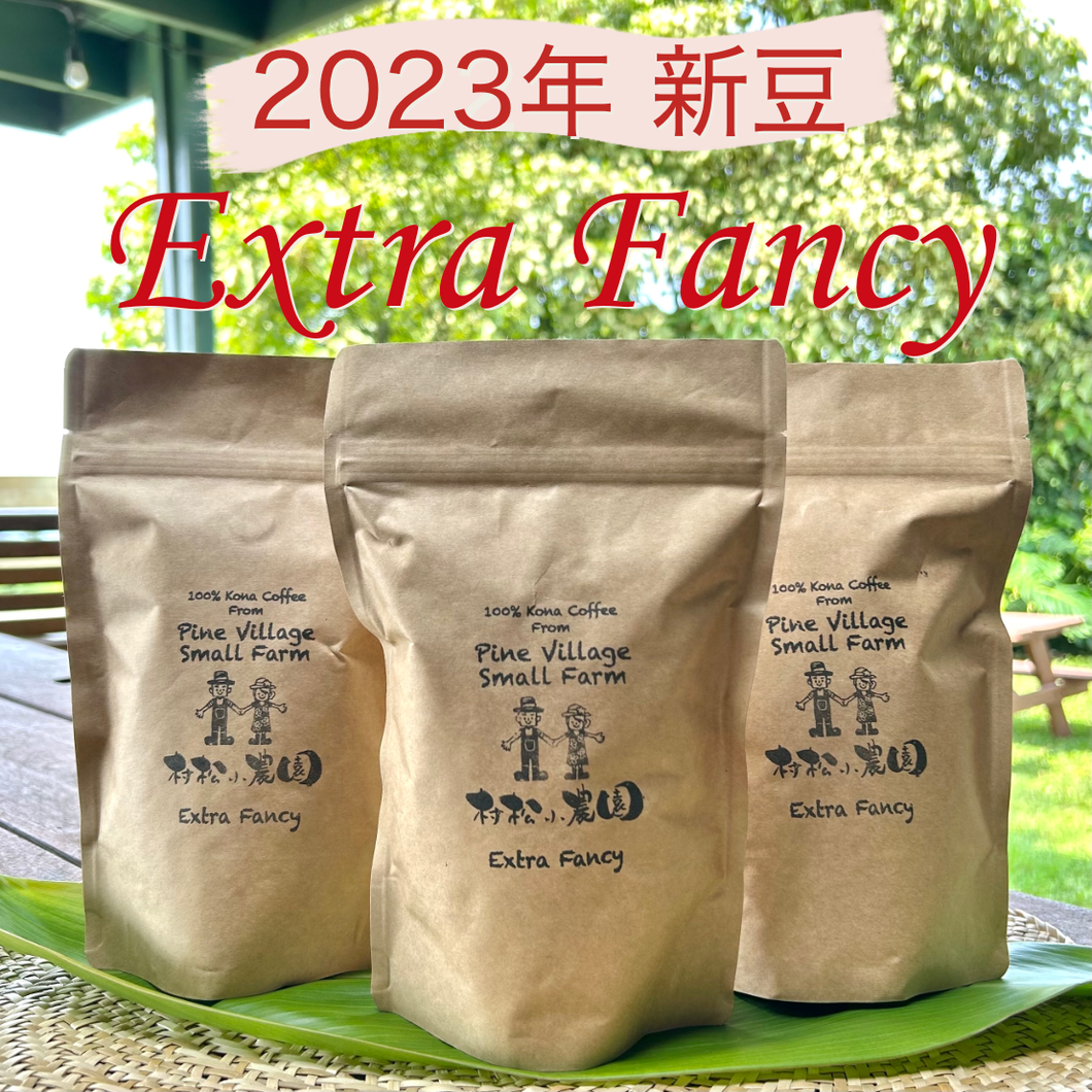 【2023年新豆】エクストラファンシー　(7oz x 3袋）